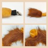 Fartoni Lion Costume Boy or Girl Lion Costumes with Tiara,