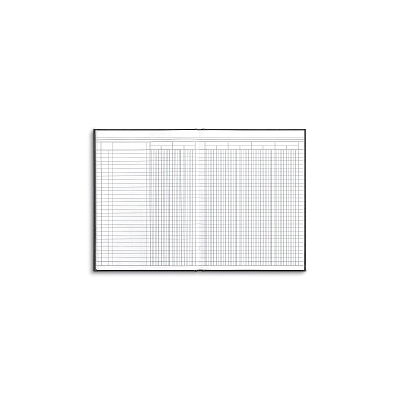 Staples Columnar Book, 12-Columns, 80 Pages