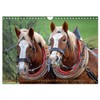 Zugpferde bei der Feldarbeit (Wandkalender 2026 DIN A4 quer), CALVENDO