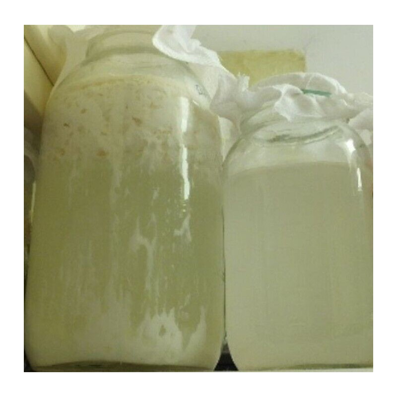 WheyWorks LAB's • Lactic Acid Bacteria • 100% Organic Soil
