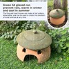 Terracotta Reptile Cave with Green Lid - 8 * 6