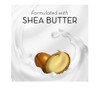 Olay Ultra fresh Shea Butter Beauty Bars -3.75oz each 12