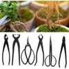 Fdit Professional Bonsai Tool Kit 7 PCS Stainless Steel Scissor