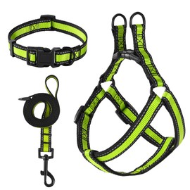 Mile High Life Night Reflective Double Adjustable Band Nylon Small Puppy Pet Dog Combo Collar Leash and Harness Set (Lime Green2, Small Neck 11"-15" -20 lb )