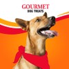 Good 'n' Fun Triple Flavor Blasts, 4 Oz, Rawhide Chew