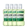 Listerine Natural Green Tea 750ml x 4 / 리스테린 내추럴 그린티 750ml 4개