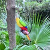 Parrot Statue 11 Inch Tropical Sculpture for Lawn,Patio Yard Art