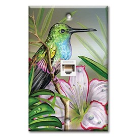 Art Plates - One Port RJ45 Ethernet decorative printed keystone style wall plate. Works with Cat5 through Cat8 cables. Female to Female Connection. - Hummingbird at Rest