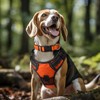 Joytale Dog Collar,Soft Neoprene Padded Breathable Nylon Pet Collar Adjustable