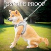 No Pull Vest,Cat Harness and Leash Set,Lead Set Escape Free,Soft