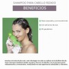 Salerm Alea Shampoo Cabello Rizado o Chino 500ml