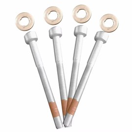 Dixhills Injector Clamp Bolt with Washer Seal Kit Compatible with A-CLASS W168 W169 B-CLASS W245 C-CLASS CL203 W202 W203 W204 E-CLASS W210 Replacement for A0009902907 A0039904012