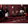 GLASSIQUE CADEAU Port and Dessert Wine, Sherry, Cordial, Aperitif Tasting