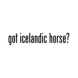Got Icelandic Horse ? Sticker - Decal - Die Cut - Black 24.00" x 4.86"
