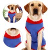 Dog Recovery Suit Stretchy Prevent Licking Adjustable Pet Post Surgery