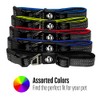Nylon Dog Collar Reflective Franklin Pet Supply Co Comfort Fit