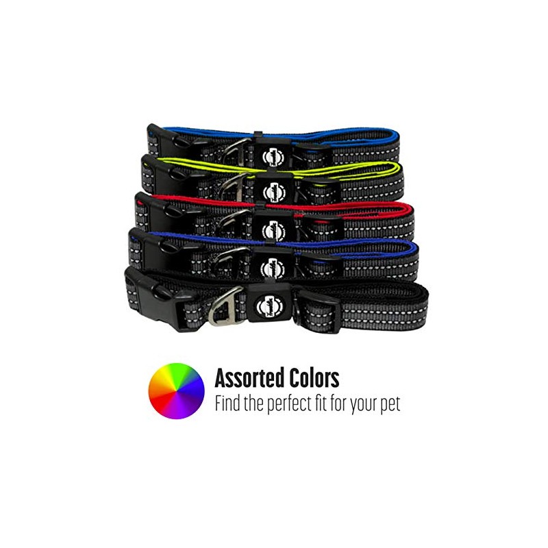 Nylon Dog Collar Reflective Franklin Pet Supply Co Comfort Fit