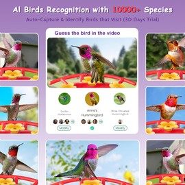 Hummingbird Feeder with Camera, Smart AI Recognition, Solar Powered, Instant Notification, Leak-Proof and Ant-Proof, Outdoor Hanging, Ideal Gift for Bird Lovers (18 oz)