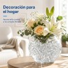 Bolitas De Gel Hidrogel Súper Absorbentes Planta Sin Tierra