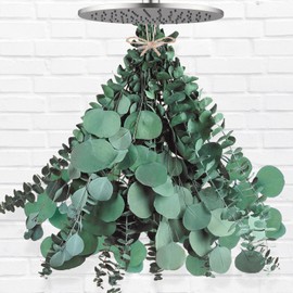 12 Pcs Large Dried Eucalyptus & Silver Dollar Leaves Bundle - Natural Real Fresh Eucalyptus, 17" Preserved Eucalyptus Branches for Shower Hanging, Bathroom Decor, Garland, Greenery Plant