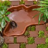 Reptile Bath Pool Large Water Bowl Reptiles Bath Pool for