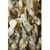 Huge Oyster Shell Chandelier Style Wind Chime, 36" +, G-84