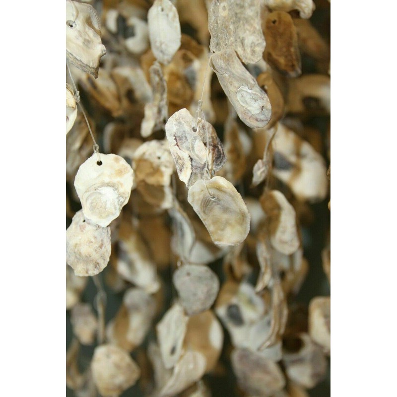 Huge Oyster Shell Chandelier Style Wind Chime, 36" +, G-84