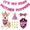 Dog Birthday Party Decorations, Dog Birthday Outfit Set, Dog Birthday