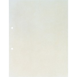 キングジム 透明ポケット A4タテ パック 103