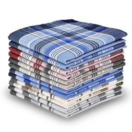 12 Pack Men's Handkerchiefs Cotton Handkerchief for Men Classic Assorted 16 Inch Large Mens Pocket Square Hankies Gents Hankerchieves with Check