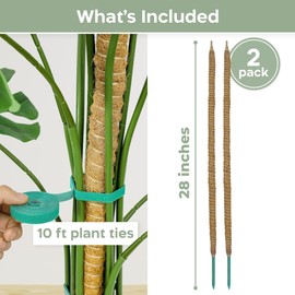 K-Brands 2 Pack 28'' Bendable Moss Pole Monstera Plant Support for Climbing Indoor Plants - Stakes for Potted Climbers - Tall Sticks Indoor Trellis for Houseplants - Accessories for Monstera Pot