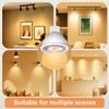 Vannise MR16 GU5.3 LED Bulb 2700K Soft White, 6 Pack