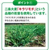 Inship Japanese Green Juice Seeds, 315 mg x 240 Tablets,