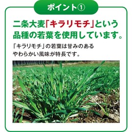 Inship Japanese Green Juice Seeds, 315 mg x 240 Tablets, 30 Day Supply