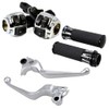 Astra Depot Motorcycle 1" Handlebar Hand Grips & Chrome Switch
