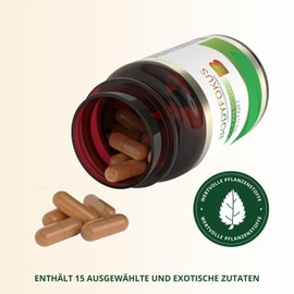 BodyFokus Clean Body Restart, 15 Valuable Plant Substances, Vitamins and Minerals, 60 Capsules, Made in Germany, for Liver Support
