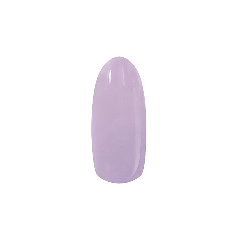 BW Polygerica Premium Color Gel 1007/Soft Lavender (6g)