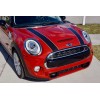The Pixel Hut Black Hood Bonnet Stripes Decals for Mini