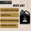Naturevibe Botanicals Karanja Oil 32 Ounces | 100% Pure and