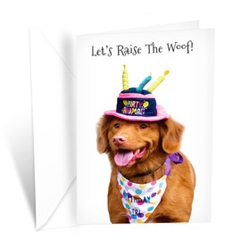 Funny Dog Birthday Card Pun With Golden Retriever Party Hat | Made in America | Eco-Friendly | Thick Card Stock with Premium Envelope 5in x 7.75in | Packaged in Protective Mailer | Prime Greetings