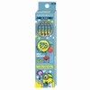 Showa Note Minions Gift Set Stationery Set Crystal Case Type