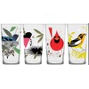 Charley Harper Bird Glasses III (Set of 4)