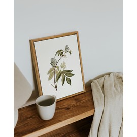 VIYYIEA Framed Vintage Botanical Wall Art Prints Sambucus Racemosa Plant Canvas Wall Art Painting Prints Rustic Farmhouse Wall Decor for Bedroom Living Room Bathroom Pictures 9"x11"