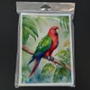 Caroline's Treasures Eclectus Parrot Greeting Cards Pack of 8 Blank