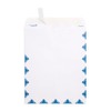 Blue Summit First Class Mail Envelopes 9x12, Large Double Window