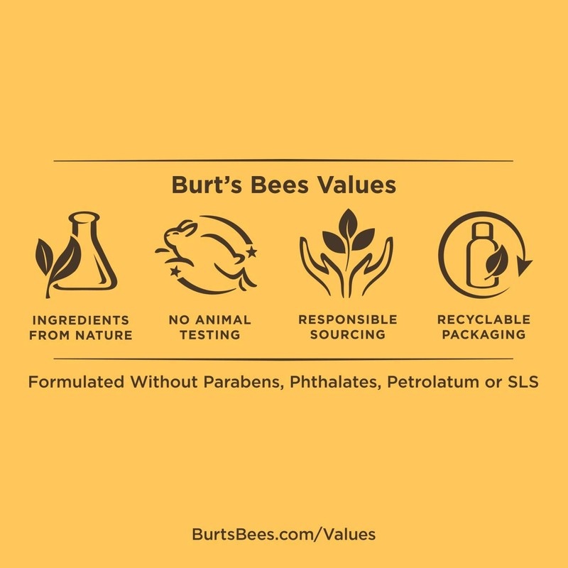 Burt's Bees 100% Natural Moisturizing Gloss Lip Crayon, Pink Lagoon