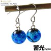 Okinawa Firefly Glass Earrings, Titanium for Both Ears, Dragonfly Ball,