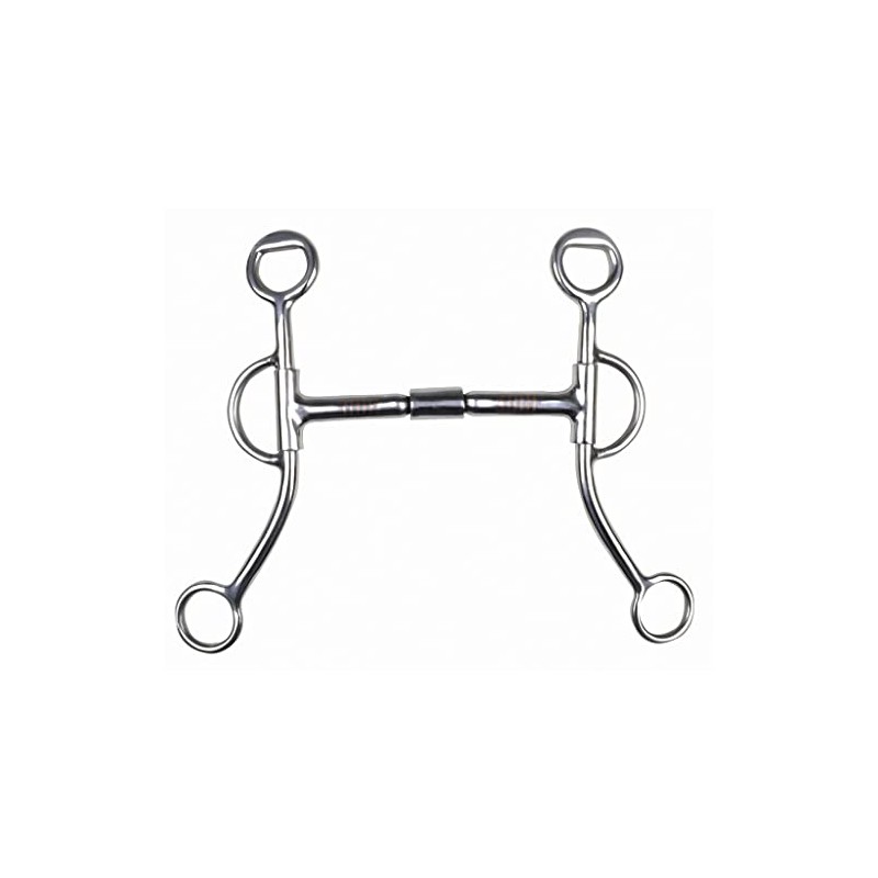 Snaffle Bit with Shanks Billy Allen