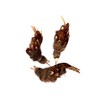 Purrs Wren Bird Attachment- Fits PurrSuit, Frenzy & DaBird wand