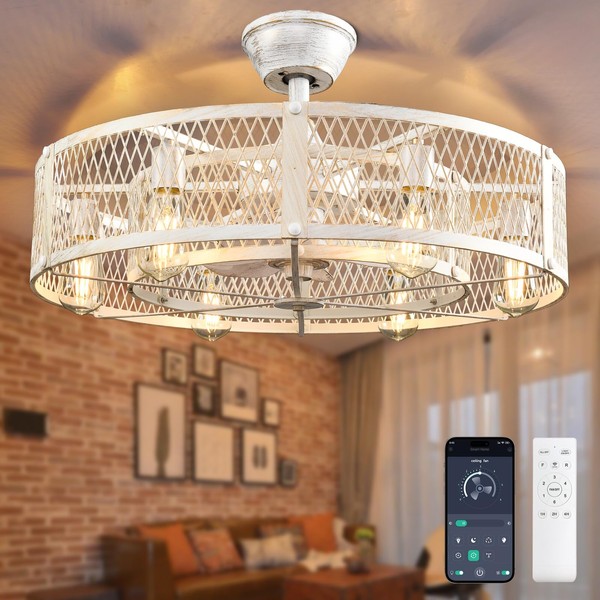 Depuley Outdoor Ceiling Fan with Light: 26" Caged Ceiling Fans